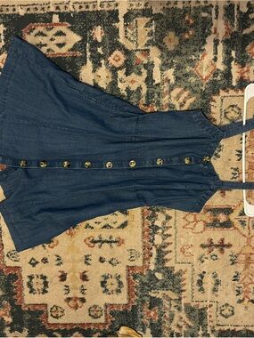 LOFT Blue Denim Button-Front Sundress